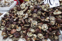 Poland, Krakow, display of mushrooms and other fungi in Stary Kleparz market.