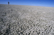 Namibia, Etosha National Park, Etosha Pan, Distant figure walking across dry and cracked expanse of the Etosha Pan which only collects water in the wet season. 