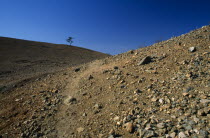 Eritrea, Barentu, Area of deforestation.