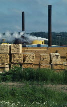 Canada, Smoke from chimney in wood pulp mill.