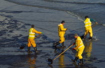 Wales, Pembrokeshire, Tenby, Workers clearing oil in Tenby Harbour from the Sea Empress spill.