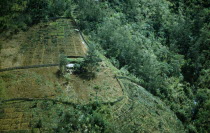 Papua New Guinea, Environment, Deforestation of hillside for agricultural use.  Aerial view over terraces and surrounding forest. 