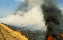England, Hampshire, Environment, Burning stubble after harvest, now illegal practice.