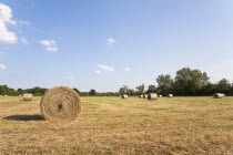 England, Wiltshire, Bales of hay in a field.