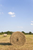 England, Wiltshire, Bales of hay in a field.