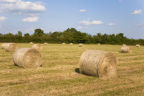 England, Wiltshire, Bales of hay in a field.