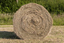 England, Wiltshire, Close up of a large round bale of hay in a field.