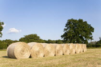 England, Wiltshire, Bales of hay in a field.