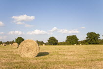 England, Wiltshire, Bales of hay in a field.