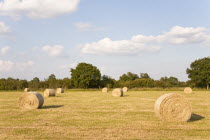 England, Wiltshire, Bales of hay in a field.