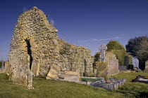 Ireland, County Tyrone, Ardboe, Abbey church ruins.