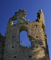 Ireland, County Westmeath, Belvedere House and Gardens, A section of the Jealous Wall built by Robert Rochfort to hide his brother's mansion.