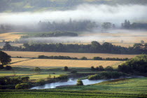 Scotland, Perthshire, Valley of Earn, View over farmland on misty morning.