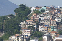 BRAZIL Rio de Janeiro Favela or slum above Saude neighbourhood - some traditional tile roofs very steep hill roads greenery and Church