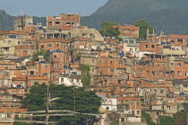 BRAZIL Rio de Janeiro Favela or slum on hillside above Copacabana neighbourhood, bedcovers and washing hanging on lines unplastered red brick houses greenery and TV antenna.