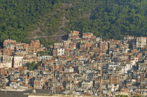 BRAZIL Rio de Janeiro Favela or slum on hillside above Copacabana neighbourhood, steep road through slum rock face and tree cover antenna in foreground.