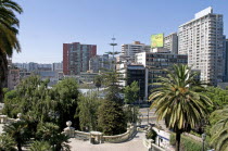 Chile, Santiago, Highrise modern apartment blocks in downtown from the Cerro Santa Lucia with sweeping classical balustrade and Chilean Palm tree in the foreground.