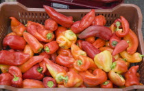 Hungary, Pest County, Budapest, capsicum annuum, bell peppers or chili peppers for sale at stall at the rail terminus Budapest Nyugati palyaudvar. When dried, ground to make paprika.