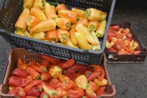 Hungary, Pest County, Budapest, crates of red and orange Capsicum annuum, bell peppers or chili peppers on fresh produce stall at the rail terminus Budapest Nyugati palyaudvar. When dried, ground to m...