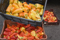 Hungary, Pest County, Budapest, crates of red and orange Capsicum annuum, bell pepper or chili pepper on fresh produce stall at the rail terminus Budapest Nyugati palyaudvar. When dried, ground to mak...