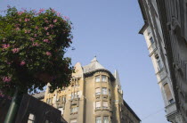 Hungary, Pest County, Budapest, street scene with part view of Empire era apartment blocks with hanging baskets full of pink geraniums in foreground.