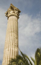 Greece, Athens, The Temple of Olympian Zeus, single corinthian column of ruined temple dedicated to king of the Olympian gods, Zeus. 