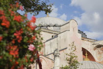 Turkey, Istanbul, Sultanahmet, Hagia Sophia, Part view of exterior facade and domed roof with red geraniums in immediate foreground.