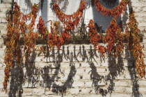 Turkey, Aydin Province, Kusadasi, Strings of red and orange chilies hung up to dry in the late afternoon summer sunshine across windows of whitewashed house in the old town and casting shadows on the...