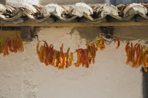 Turkey, Aydin Province, Kusadasi, Strings of brightly coloured orange and yellow chilies hanging under eaves of tiled roof of house in the old town to dry in the summer sunshine.