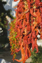 Turkey, Aydin Province, Sirince, Strings of brightly coloured red and green chilies hanging up to dry in late afternoon summer sunshine.  