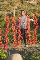 Turkey, Aydin Province, Selcuk, Strings of brightly coloured red chilies hanging up to dry in late afternoon sunshine on the road from Selcuk to Sirince with large gourd partly seen in foreground and...