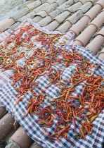 Turkey, Aydin Province, Sirince, Brightly coloured chilies laid out to dry in late afternoon summer sun on tiled rooftops of house in the old town.   