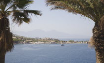 Turkey, Aydin Province, Kusadasi, Guvercin Ada or Pigeon Island, the peninsula of Kusadasi. View across water framed by palm trees.