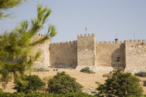 Turkey, Izmir Province, Selcuk, Site of the 6th century Basilica of St. John the Apostle below section of crenellated wall and towers with trees and bushes in foreground.