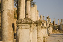Turkey, Izmir Province, Selcuk, Ephesus, Line of ruined pillars and pedestals in ancient city.