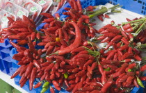 Austria, Vienna, Bunches of red chillies for sale on market stall.