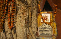 India, Uttar Pradesh, Varanasi, Detail of roadside Hindu shrine to the God Durga adorned with flower garlands.