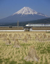 Japan, Honshu, Mount Fuji with Shinkansen bullet train passing through rice fields in the foreground.