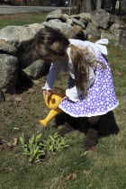 Children, Young, Girl, Kylan Stone, waters plants in garden with a plastic watering can, Keene, New Hampshire, USA.