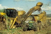 Domincan Republic, Harvesting sugar cane with farm machinery.