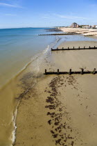 England, West Sussex, Bognor Regis, Wooden groynes at low tide used as sea defences against erosion of the shingle pebble beach seen through metal railings with colourful flags on the pier.