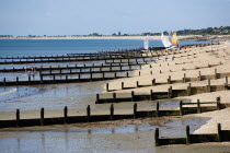 England, West Sussex, Bognor Regis, Wooden groynes at low tide used as sea defences against erosion of the shingle pebble beach with people on the sand by the waterline and small sailing boats on the...