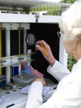 Climate, Weather, Measurements, Female weather observer using a magnifying glass to take readings from the wet-bulb thermometer or hygrometer which measures relative humidity in the Stevensons Screen...