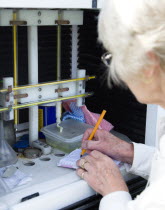 Climate, Weather, Measurement, Female weather observer recording readings from the two thermometers which measure minumum and maximum tempertures in the Stevensons Screen cabinet at Bognor Regis weath...