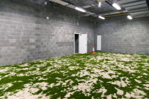 Ireland, County Dublin, Dublin City, Ballsbridge, Lansdowne Road, Aviva Stadium indoor practice area with artificial grass attached to the changing rooms of the home team.
