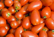 Agriculture, Fruit, Tomato, Mixed varieties of ripe organic red tomatoes.