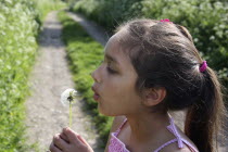 Children, Playing, Outdoors, A nine year old girl blowing dandelion seeds.