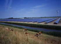 Germany, Schleswig Holstein, Field of solar panels on the northwest coast with cattle grazing beside a dyke.