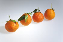 Food, Fruit, Four fresh Clementine oranges.