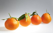 Food, Fruit, Four fresh Clementine oranges.